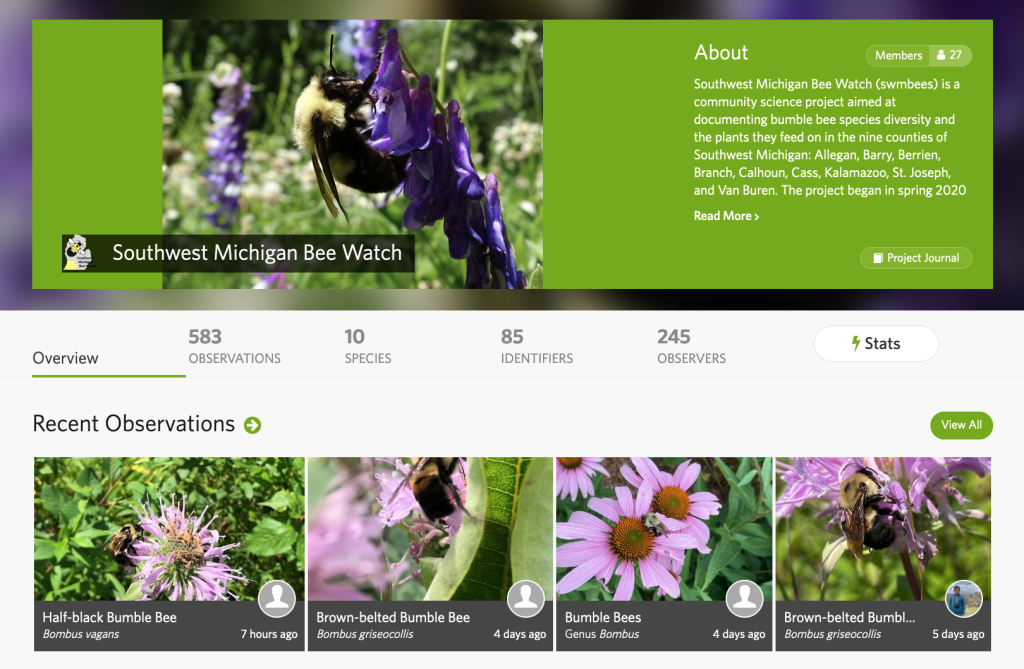 screen display showing 10 bumble bee types and statistics for project observations