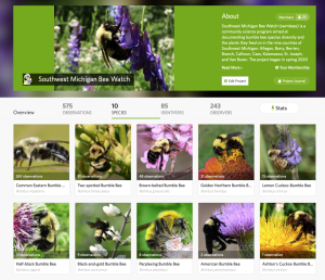 screen display showing 10 bumble bee types and statistics for project observations